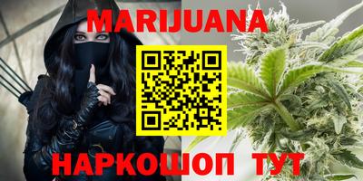 мдпв Славгород