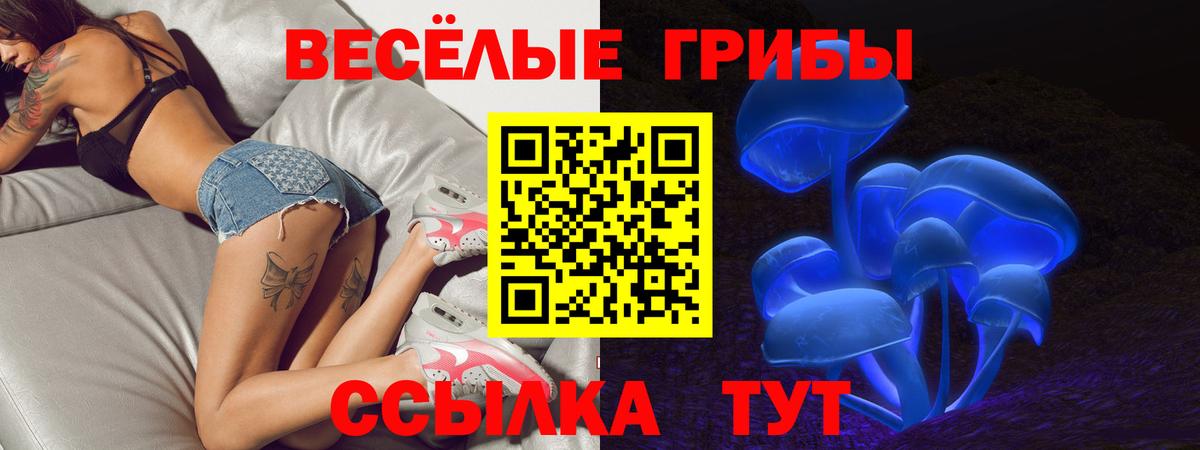 Прохладный  Псилоцибиновые грибы мухоморы  где найти   Псилоцибиновые грибы ЛСД  Вход с VPN 